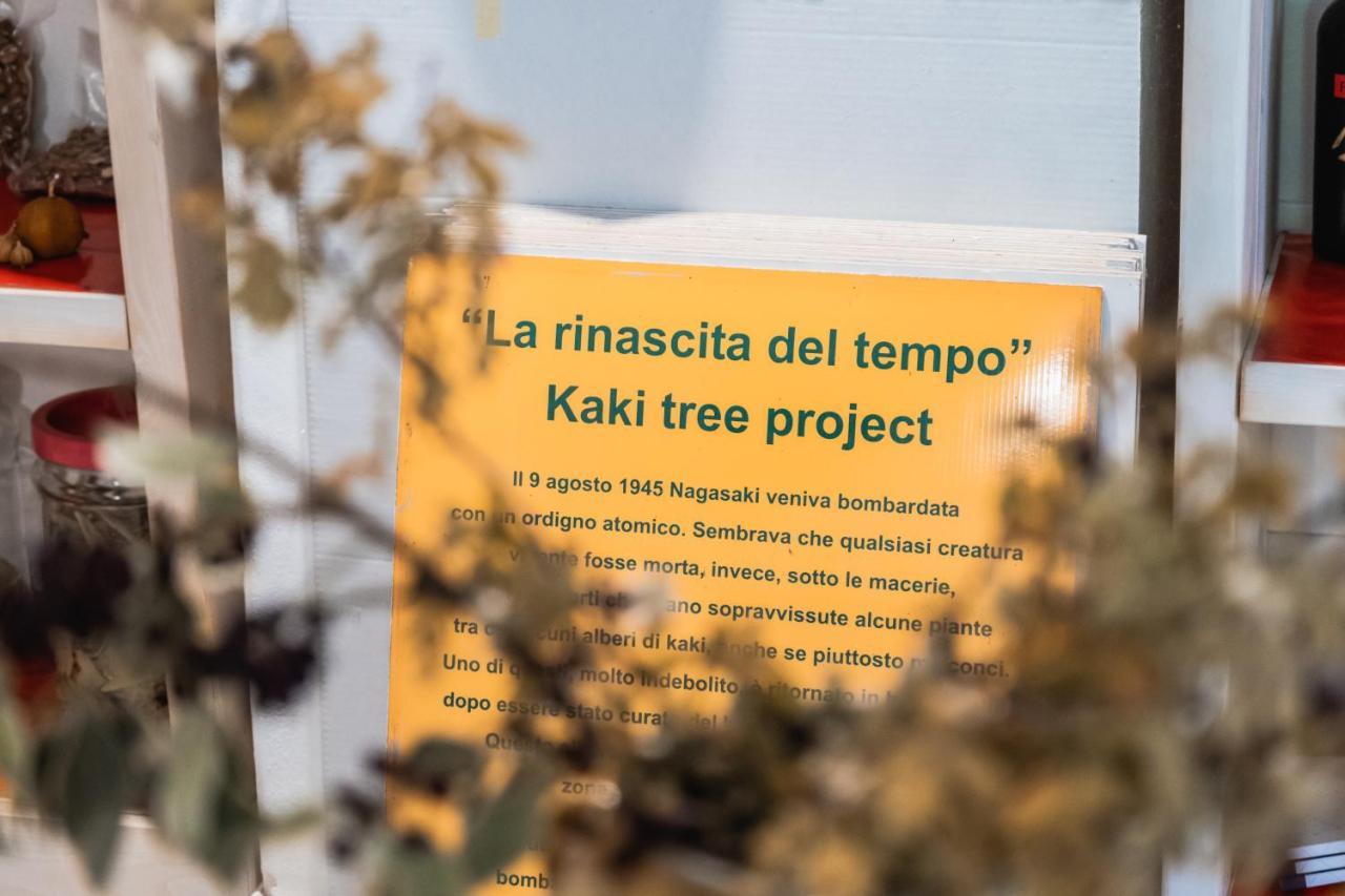 Апартаменты I Giardini Di Pomona Чистернино Экстерьер фото